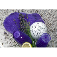 Lufterfrischer FRE-Pro Eco Air 2.0 Raumerfrischer Fabulous Lavendel Luftverbesserer Duftspender