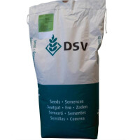 Kiepenkerl DSV RSM 7.1.1 Landschaftsrasen Standard