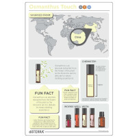 doTERRA Osmanthus Touch (Roll-On) 10ml