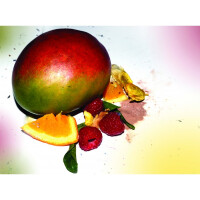 12x FRE-PRO Eco Air 2.0 Lufterfrischer Mango – Raumerfrischer Duftspender