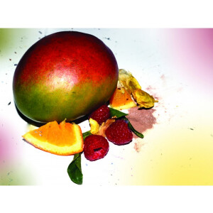 Lufterfrischer FRE-PRO Eco Air 2.0 Raumerfrischer Mango Luftverbesserer Duftspender