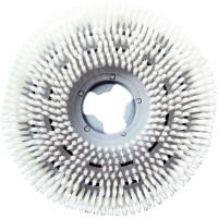 columbus Schrubb-Bürste 430 mm für columbus RA 43/55 K 40, RA 43/55 B/M 40